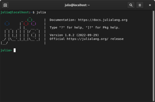 capture écran d'un terminal Julia